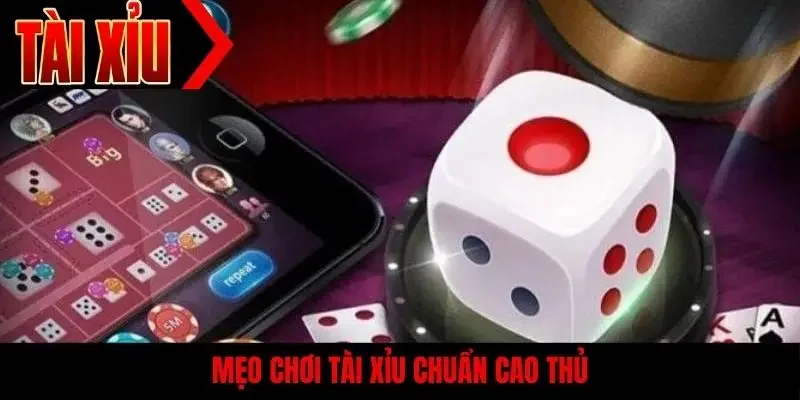 Mẹo chơi tài xỉu chuẩn cao thủ