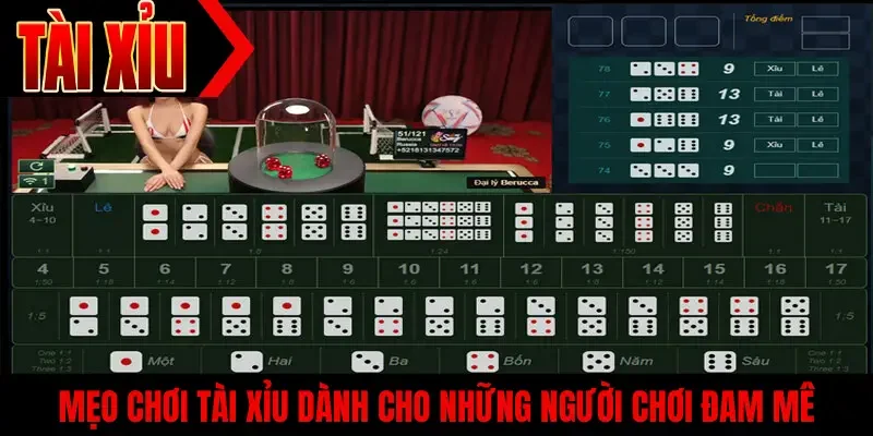 Mẹo chơi tài xỉu dành cho những người chơi đam mê