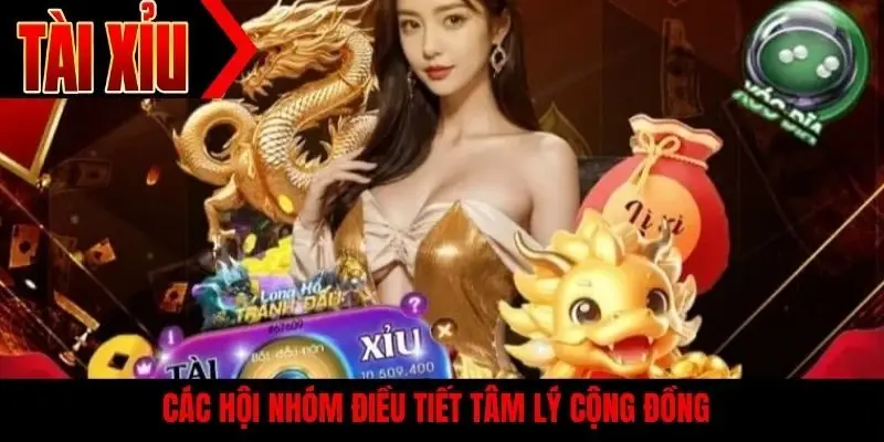 Các hội nhóm điều tiết tâm lý cộng đồng