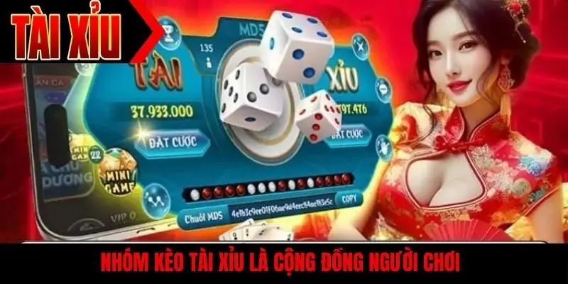 Nhóm kèo tài xỉu là cộng đồng người chơi